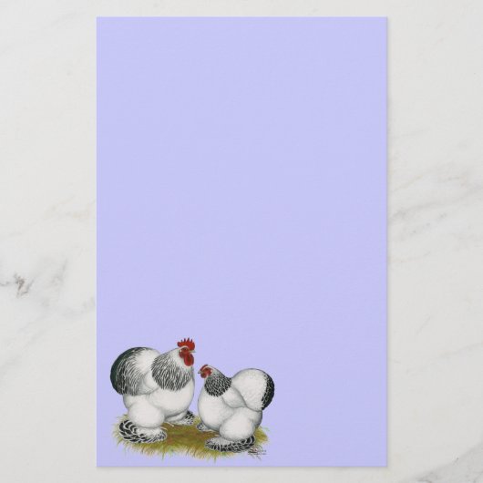 Cochins: Kolumbianische Bantams Briefpapier (Vorderseite)