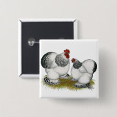 Cochins:  Kolumbianische Zwerghühner Button (Vorne & Hinten)