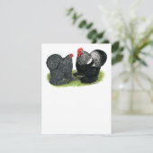 Cochins: silbergepresst (Stehend Vorderseite)