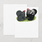 Cochins: silbergepresst (Vorne/Hinten)