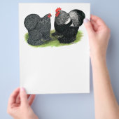 Cochins: silbergepresst flyer (Hand)
