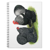 Cochins: silbergepresst notizblock (Vorderseite)