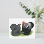 Cochins:  silbergezäunt postkarte (Stehend Vorderseite)