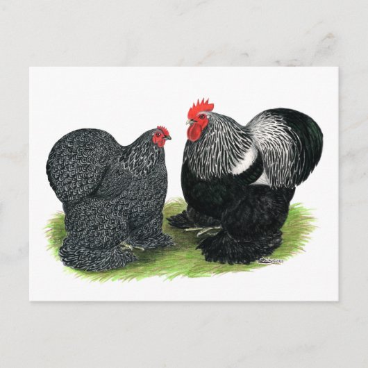 Cochins:  silbergezäunt postkarte (Vorderseite)