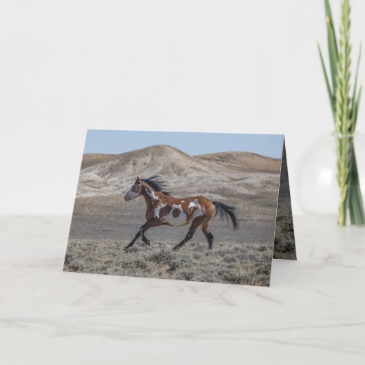 Cochise Runs Greeting Card Einladung (Vorderseite)