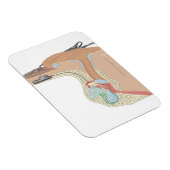 Cochlear Implantate Magnet (Rechte Seite)