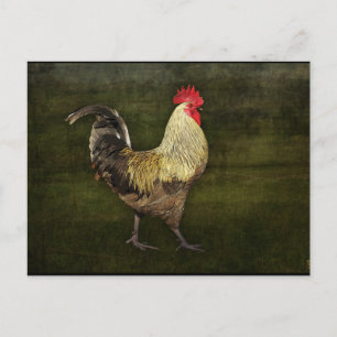 Cock-A-Doodle-Doo-Postkarte Postkarte