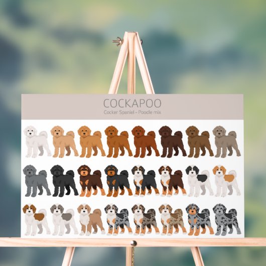 Cockapohundmischung Acrylschild (Neutral)