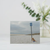 Cockapoo am Strand, Postkarte (Stehend Vorderseite)