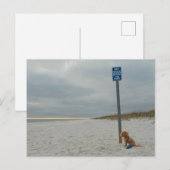 Cockapoo am Strand, Postkarte (Vorne/Hinten)