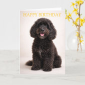 Cockapoo Birthday Card Cute Dog Minimal Design Karte (Gelbe Blume)