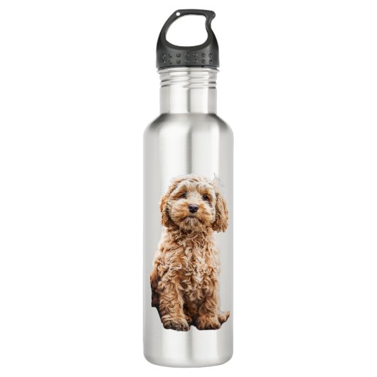 Cockapoo Cavoodle Labradoodle Niedlicher Welpenhun Edelstahlflasche (Vorderseite)