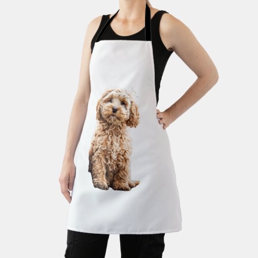 Cockapoo Cavoodle Labradoodle Niedlicher Welpenhun Schürze (InSitu)