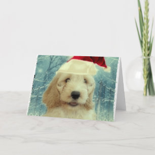 Cockapoo Christmas Karte