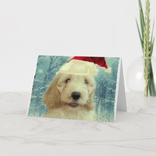 Cockapoo Christmas Karte (Vorderseite)
