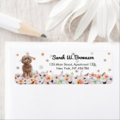 Cockapoo Dog Breed (Insitu)