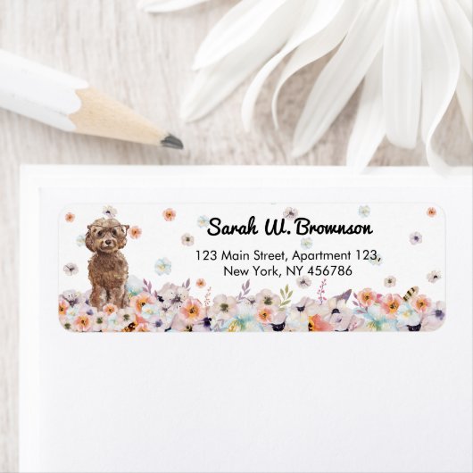 Cockapoo Dog Breed (Insitu)