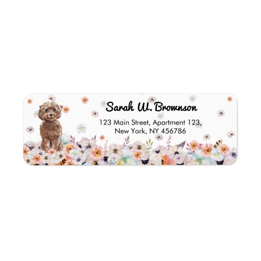 Cockapoo Dog Breed (Vorne)