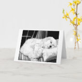 Cockapoo Dog Portrait Blank Grußkarte Karte (Gelbe Blume)