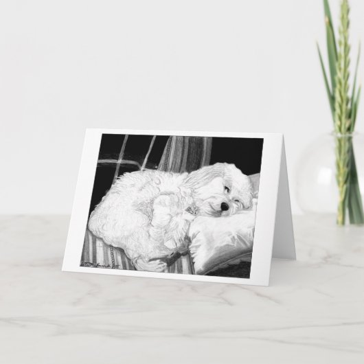 Cockapoo Dog Portrait Blank Grußkarte Karte (Vorderseite)