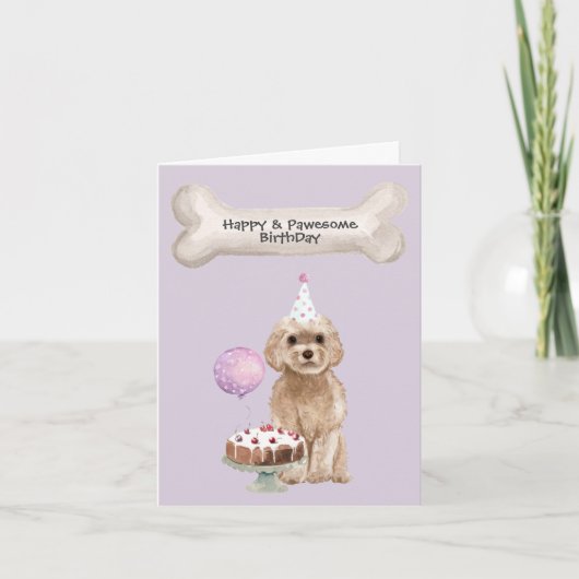 Cockapoo Geburtstag Feiertagskarte (Vorderseite)