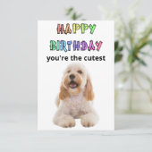 Cockapoo Geburtstagskarte Dankeskarte (Stehend Vorderseite)