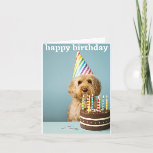 Cockapoo Geburtstagskarte Karte (Vorderseite)