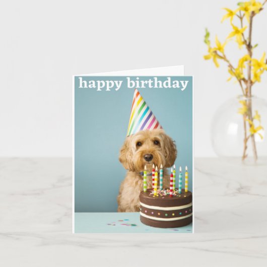 Cockapoo Geburtstagskarte Karte (Gelbe Blume)