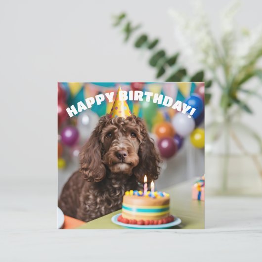 Cockapoo Geburtstagsparty Karte (Stehend Vorderseite)