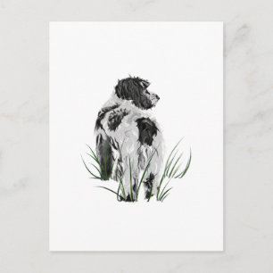 Cockapoo Hund, Aquarell Postkarte