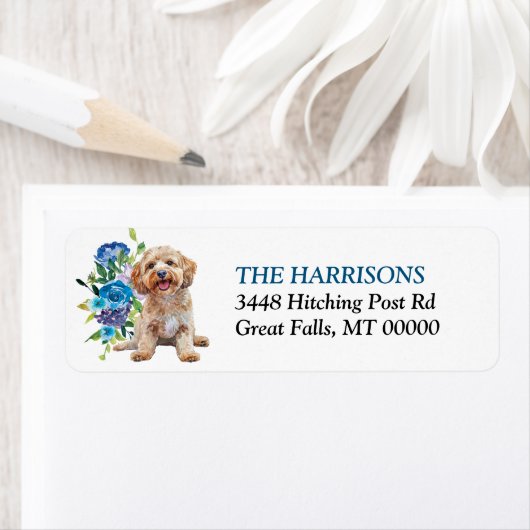 Cockapoo Hund Blauer Rücksendeadresse (Insitu)