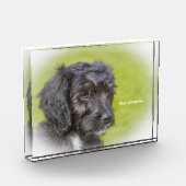 Cockapoo Hund. Fotoblock (Links)