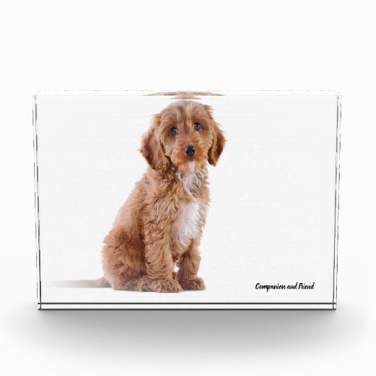 Cockapoo Hund. Fotoblock (Vorderseite)
