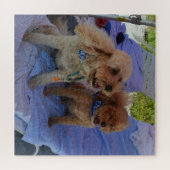 Cockapoo Hunde genießen Beach Vacation Foto Puzzle (Horizontal)