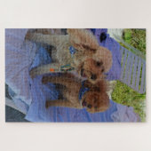 Cockapoo Hunde Tropical Beach Family Vacation Foto Puzzle (Horizontal)