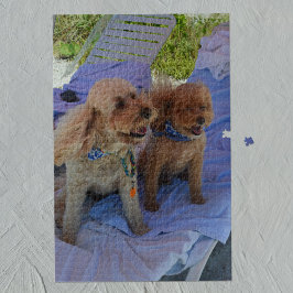 Cockapoo Hunde Tropical Beach Family Vacation Foto Puzzle