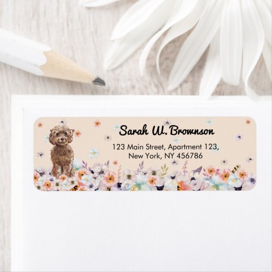 Cockapoo-Hundssungbrille (Insitu)