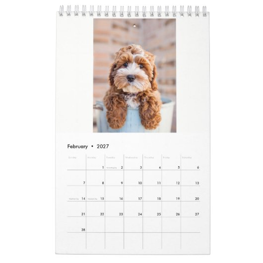 Cockapoo Kalender 2018 (Feb 2027)