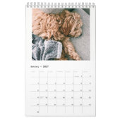 Cockapoo Kalender 2018 (Jan 2027)