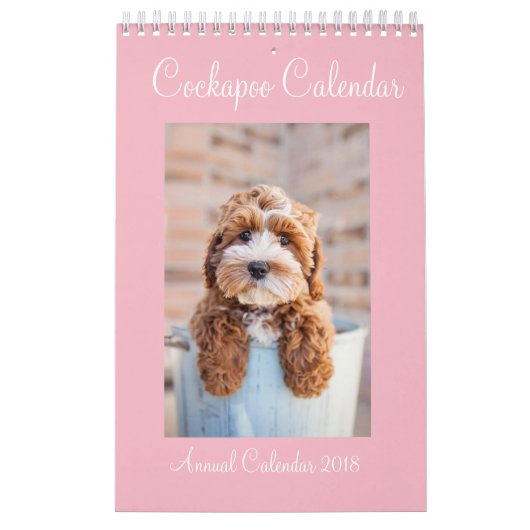Cockapoo Kalender 2018 (Titelbild)