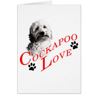 Cockapoo-Liebe
