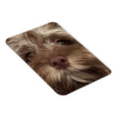 "COCKAPOO"-Magnet Magnet (Rechte Seite)