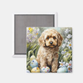 Cockapoo mit Ostereier Urlaub Magnet (Vorderseite/Rückseite)
