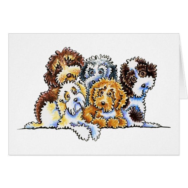 Cockapoo Rainbow (Vorderseite (Horizontal))