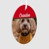 Cockapoo Santa Dog mit Name und Foto Ornament (Vorderseite)