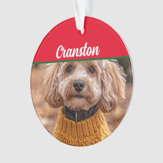 Cockapoo Santa Dog mit Name und Foto Ornament (Vorderseite)