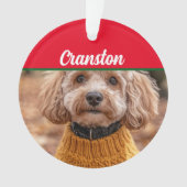 Cockapoo Santa Dog mit Name und Foto Ornament (Vorderseite)