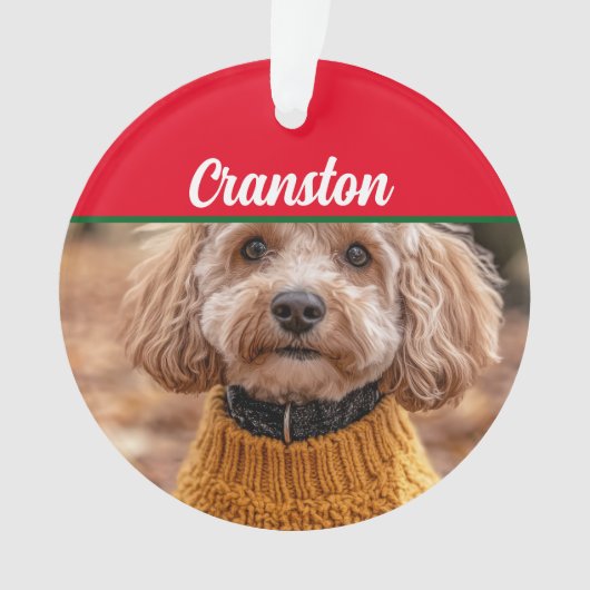 Cockapoo Santa Dog mit Name und Foto Ornament (Vorderseite)