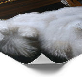 Cockapoo Snowy Sleigh Weihnachtsdekor Poster (Ecke)