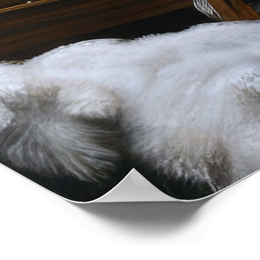 Cockapoo Snowy Sleigh Weihnachtsdekor Poster (Ecke)